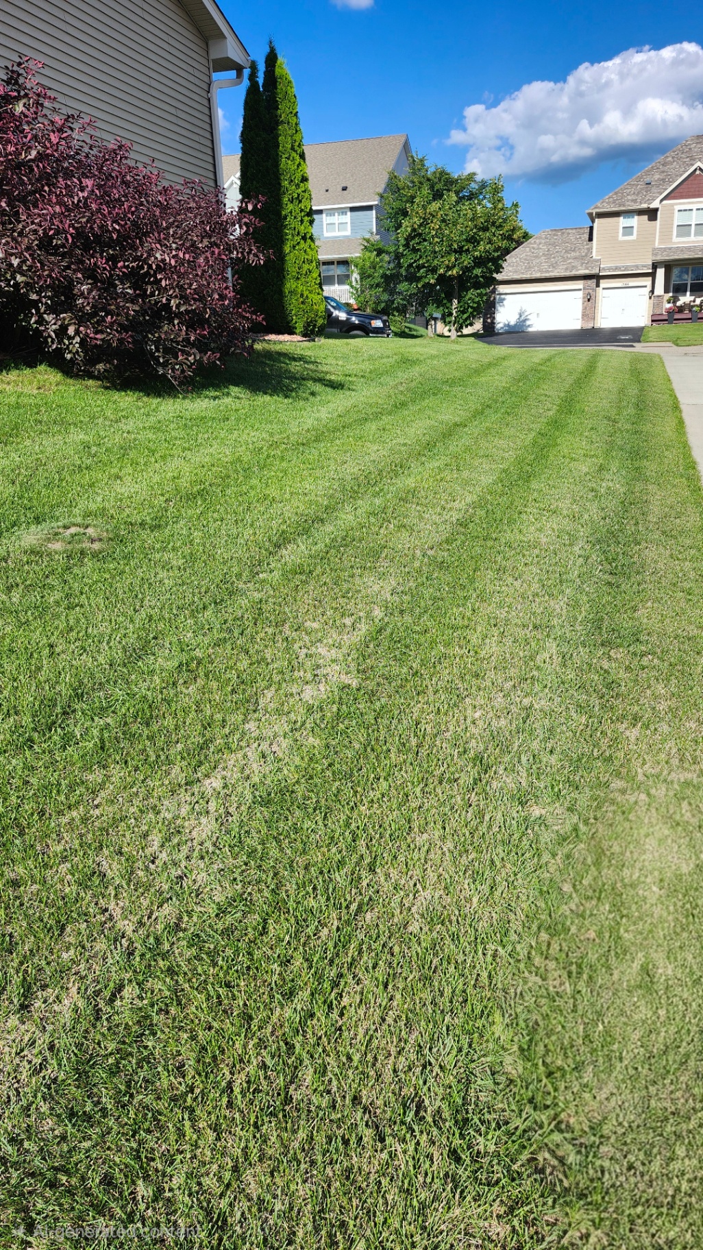 Front lawn in Apple Valley with clean mowing stripes along the driveway by GOAT Lawn Care